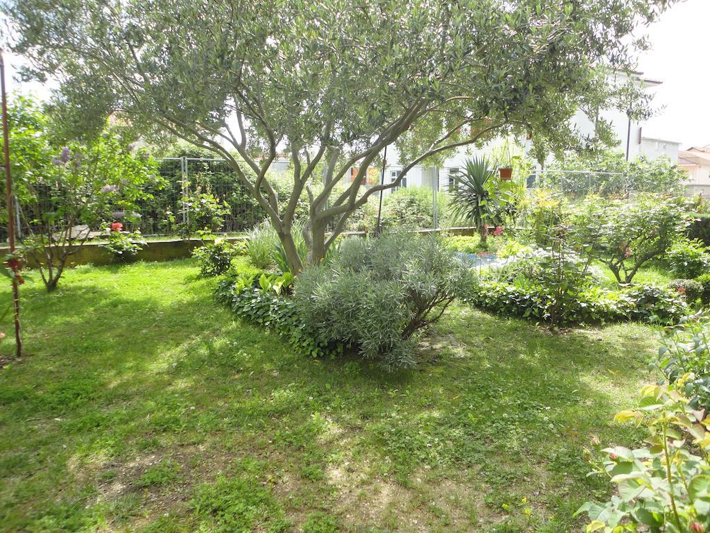 Apartman Maletic